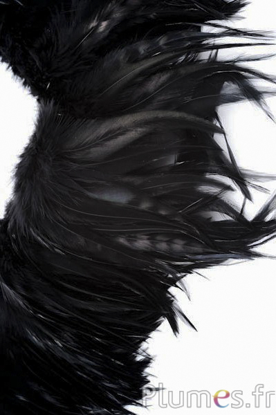 Frange coq - long. plumes 10-15 cm - noir
